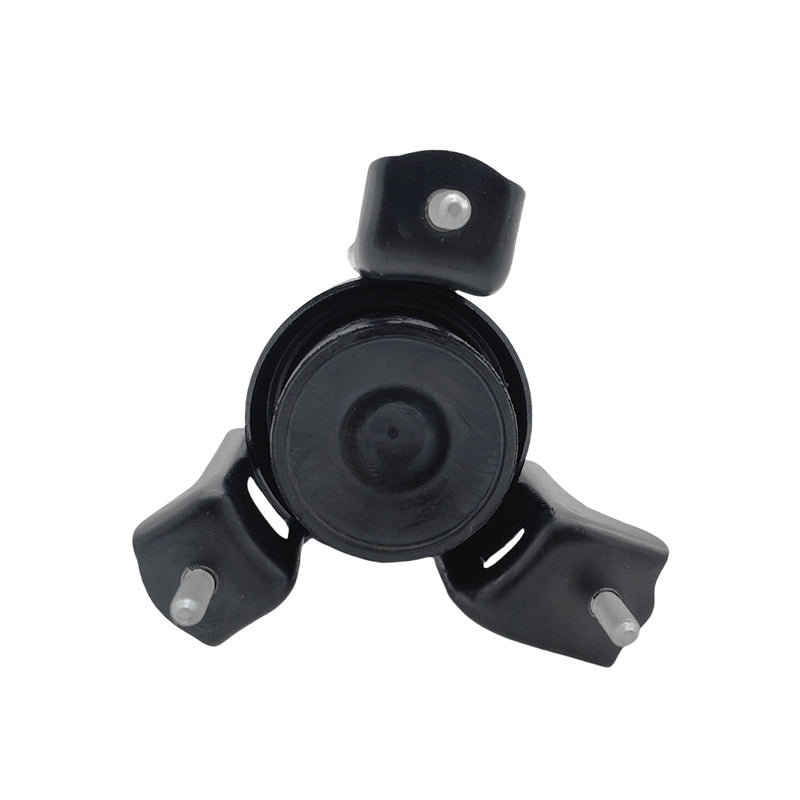 Tuggerah Lakes