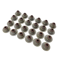 24 Pcs Engine Valve Stem Seals Fit For Ford Fairlane Fairmont Falcon BA BF FG Territory SX SY SZ V6 4.0L Petrol 2004-2016 - image 1