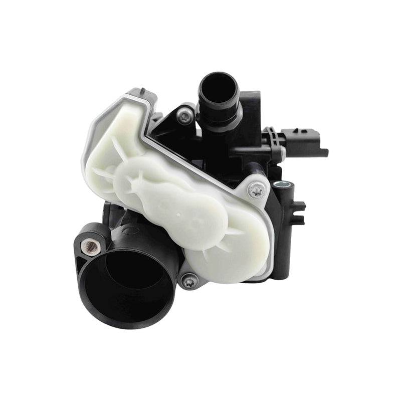 Tuggerah Lakes
