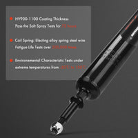 Tuggerah Lakes
