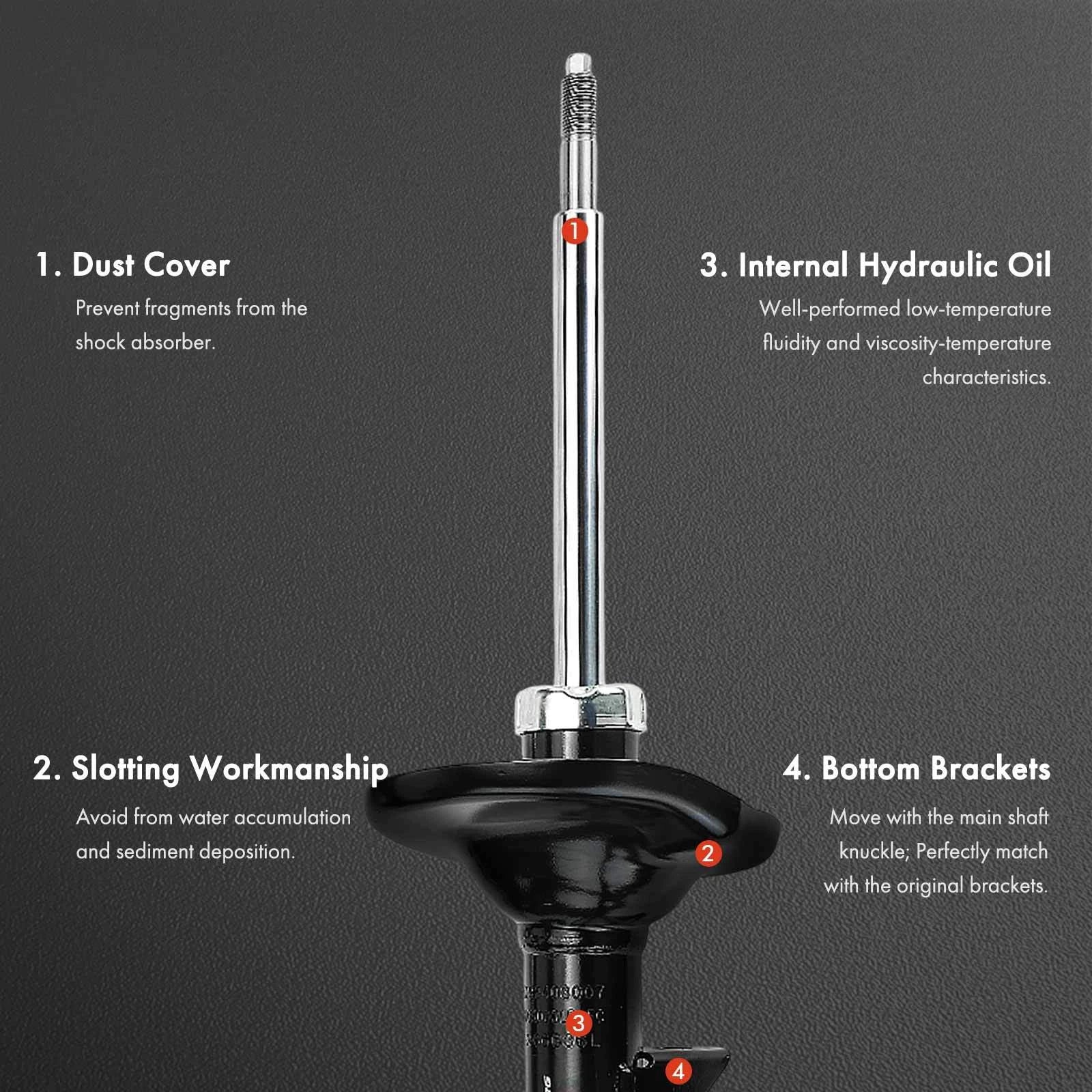 Tuggerah Lakes