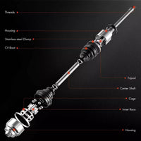 Tuggerah Lakes