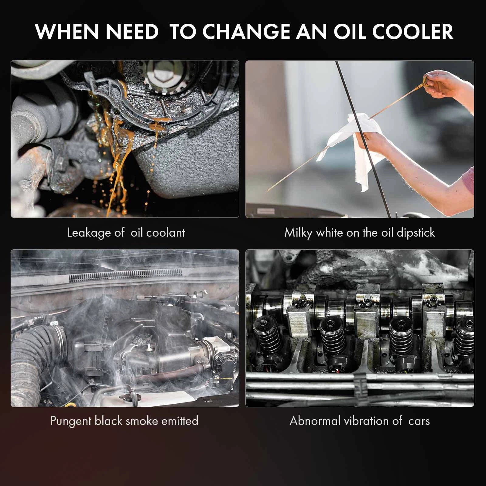 Tuggerah Lakes
