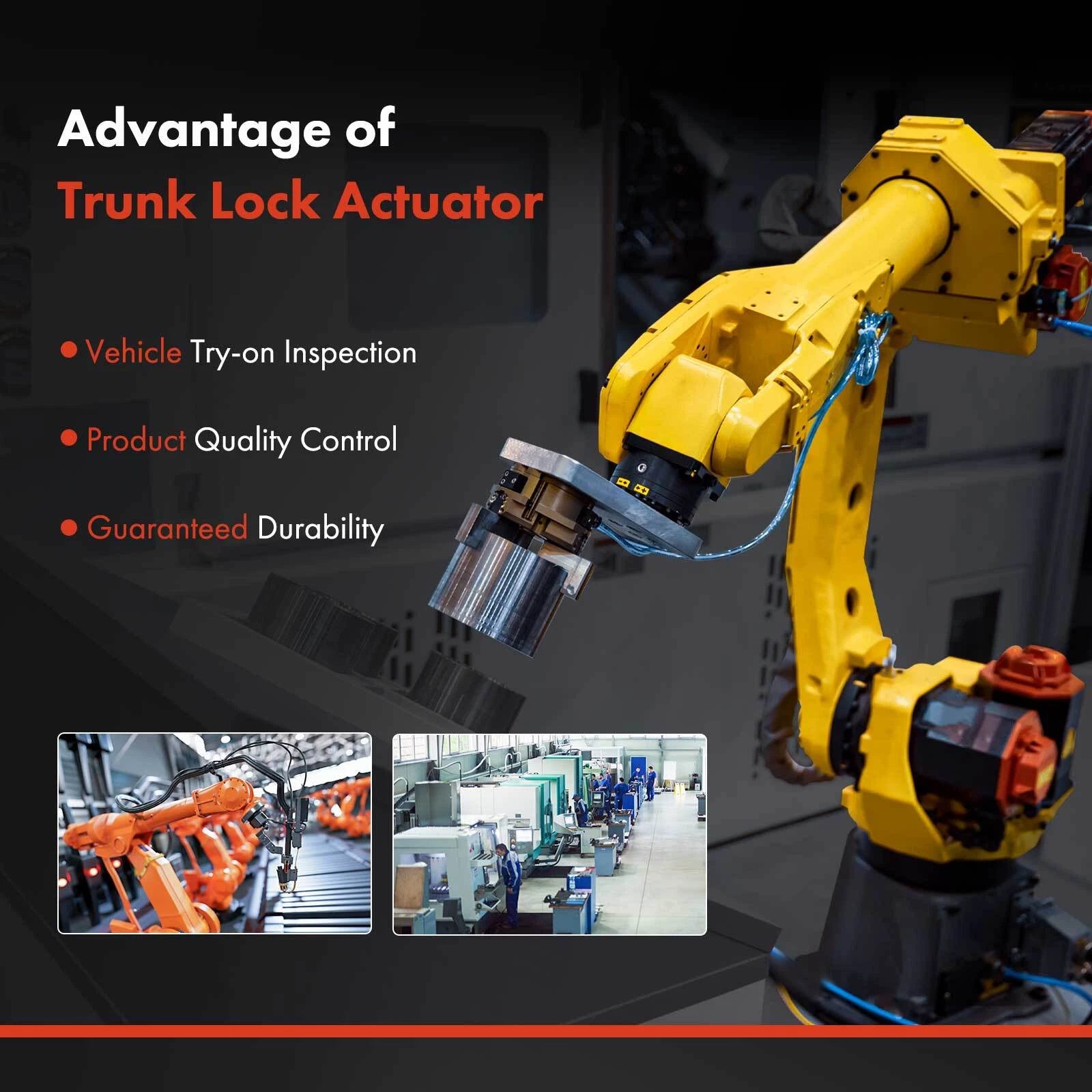 Tuggerah Lakes