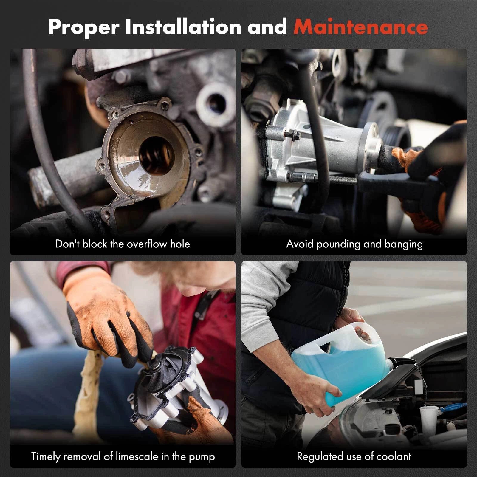 Tuggerah Lakes