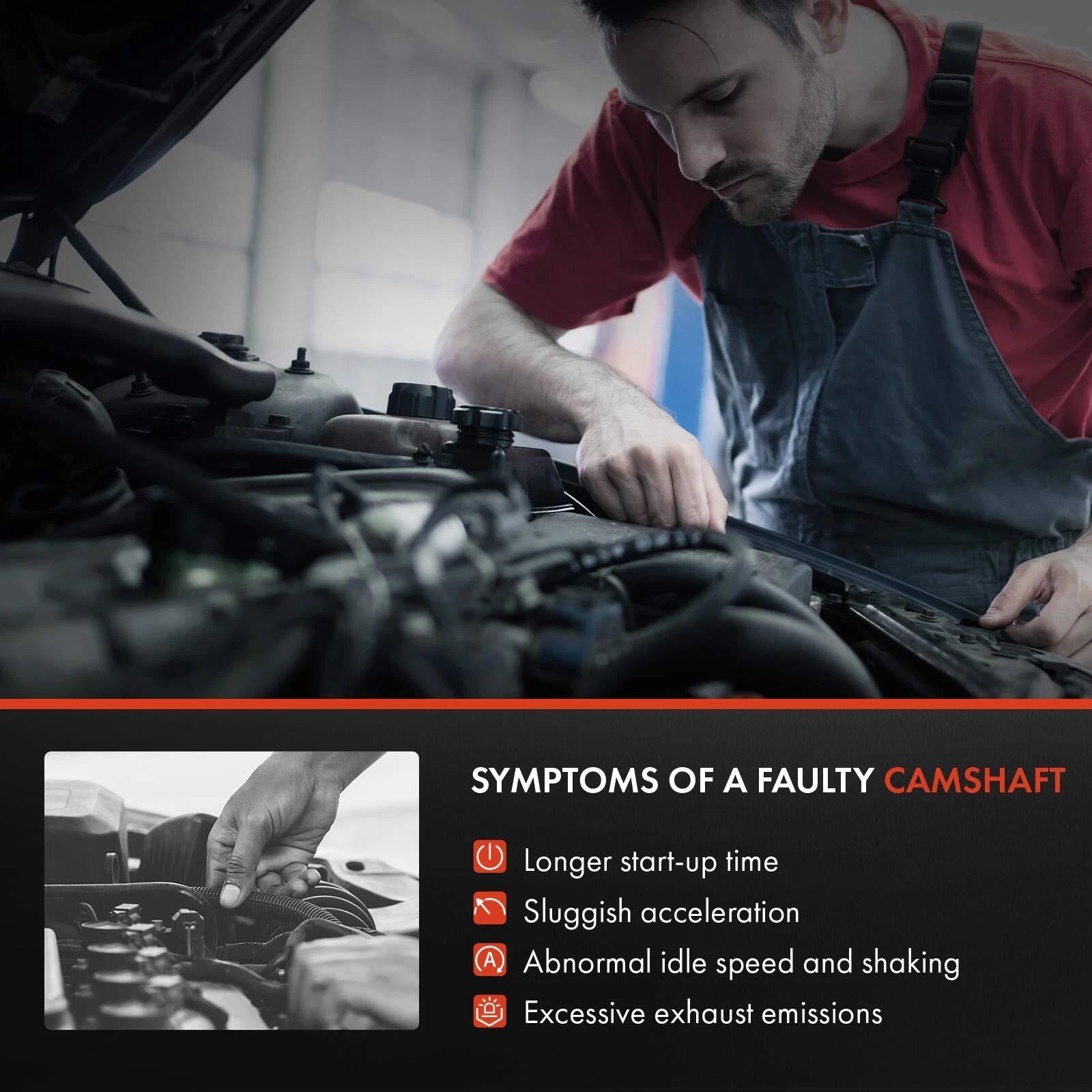 Tuggerah Lakes