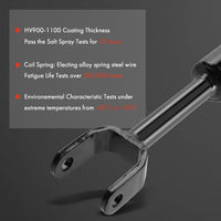 Tuggerah Lakes