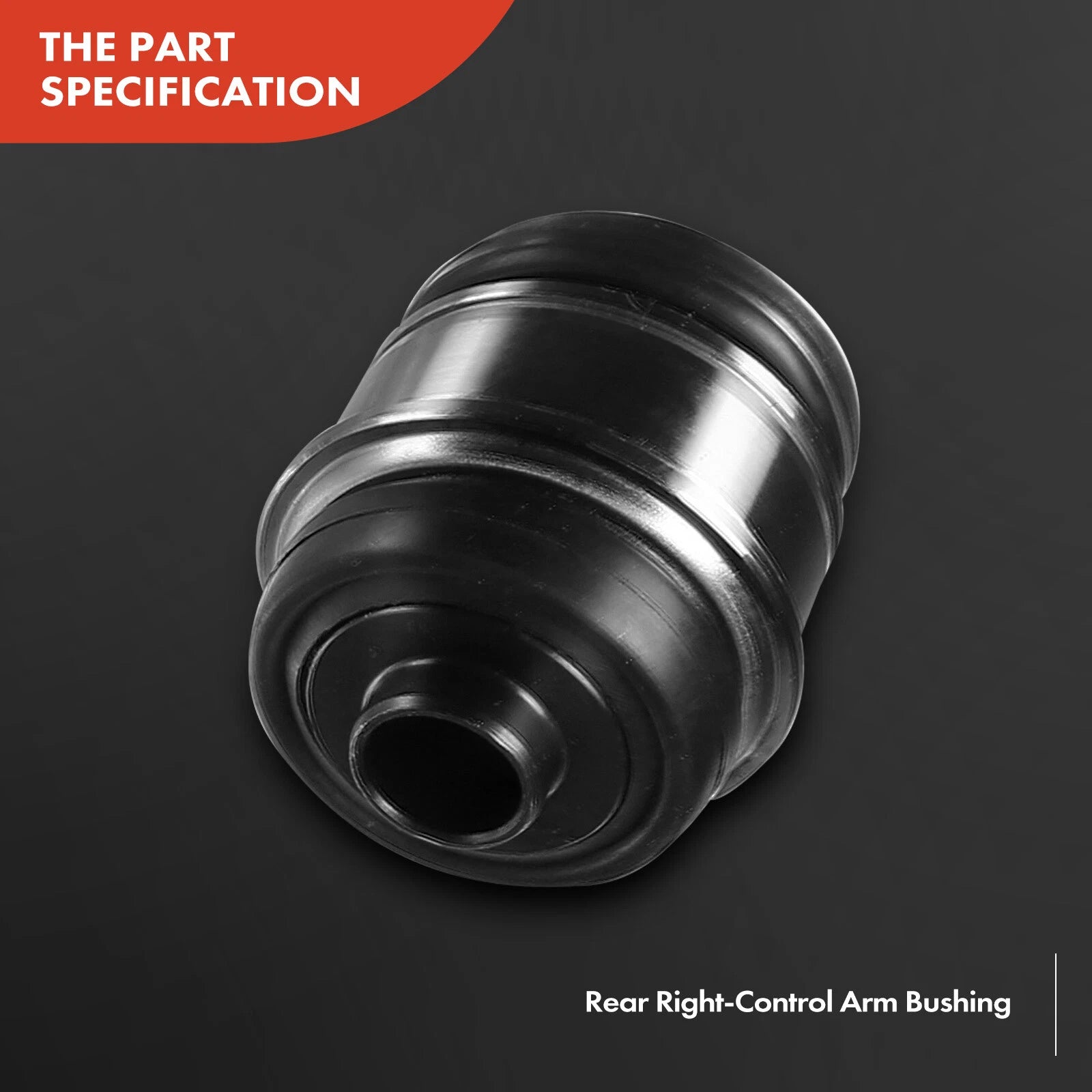 Tuggerah Lakes