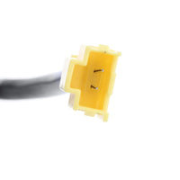 Tuggerah Lakes
