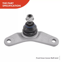 Tuggerah Lakes