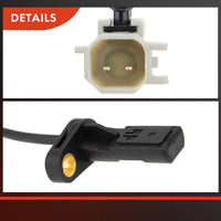 Tuggerah Lakes