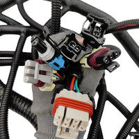 Wiring Harness Kit Fit For LS1 Engines With Drive By Cable Throttle Body And 4L60E Transmissions 1997-2006 - image 8