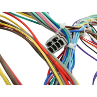 22 Circuit Wiring Harness Kit Street Rod Race Car Fit For Ford Holden - image 11