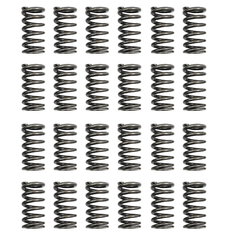 24 Pcs Performance Valve Springs Fit For Ford Falcon BA BF FG FGX Territory XR6 Barra 6cyl - image 1