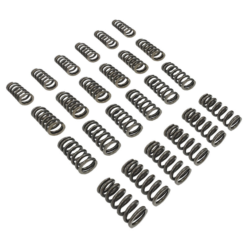 24 Pcs Performance Valve Springs Fit For Ford Falcon BA BF FG FGX Territory XR6 Barra 6cyl - image 2