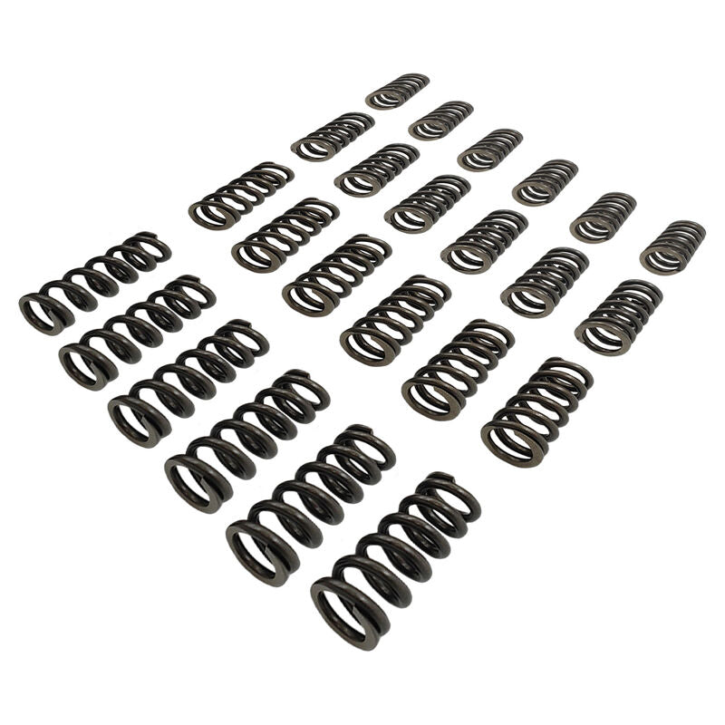 24 Pcs Performance Valve Springs Fit For Ford Falcon BA BF FG FGX Territory XR6 Barra 6cyl - image 3