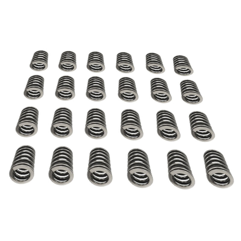 24 Pcs Performance Valve Springs Fit For Ford Falcon BA BF FG FGX Territory XR6 Barra 6cyl - image 4