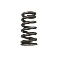 24 Pcs Performance Valve Springs Fit For Ford Falcon BA BF FG FGX Territory XR6 Barra 6cyl - image 5