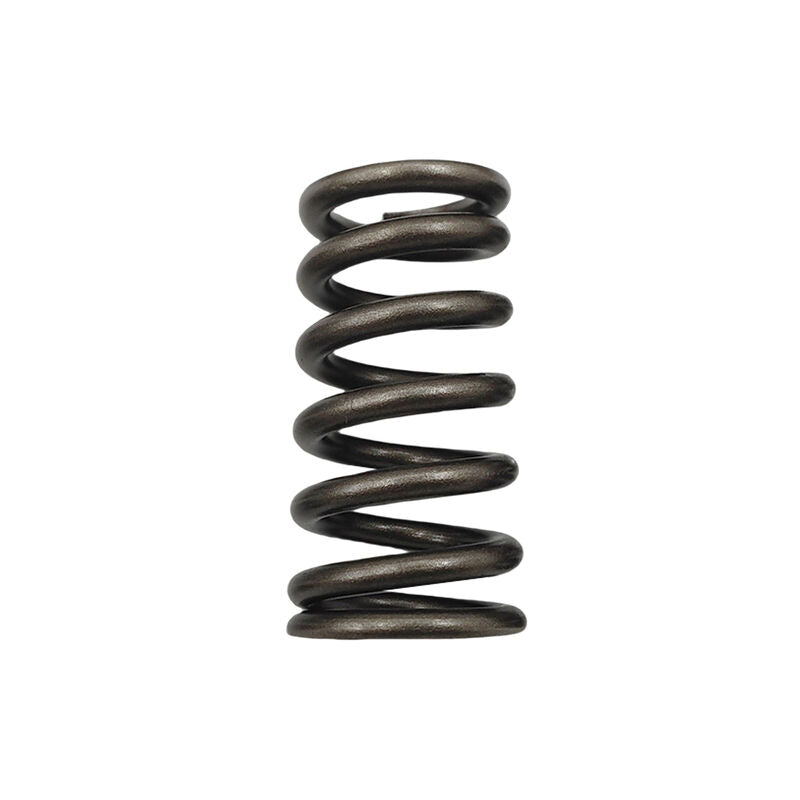 24 Pcs Performance Valve Springs Fit For Ford Falcon BA BF FG FGX Territory XR6 Barra 6cyl - image 5