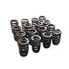 Valve Springs PAC-1218 Fit For GM LQ9 LQ4 LS LS1 LS3 LS6 LS2 4.8 5.3 6.0 6.2 .600″