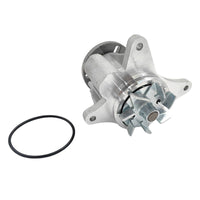 Tuggerah Lakes