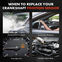 Tuggerah Lakes
