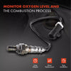 O2 Oxygen Sensor for Ford Escape BA ZA ZB ZC Mazda Tribute EP Pre-Cat Rear Bank