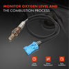 Oxygen Sensor for Citroen Berlingo C3 C4 306 406 Xantia MINI Cooper Post or Pre