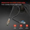 O2 Oxygen Sensor for Mitsubishi Outlander ZG 06-11 Pajero NP 05-06 Pre-Cat Rear