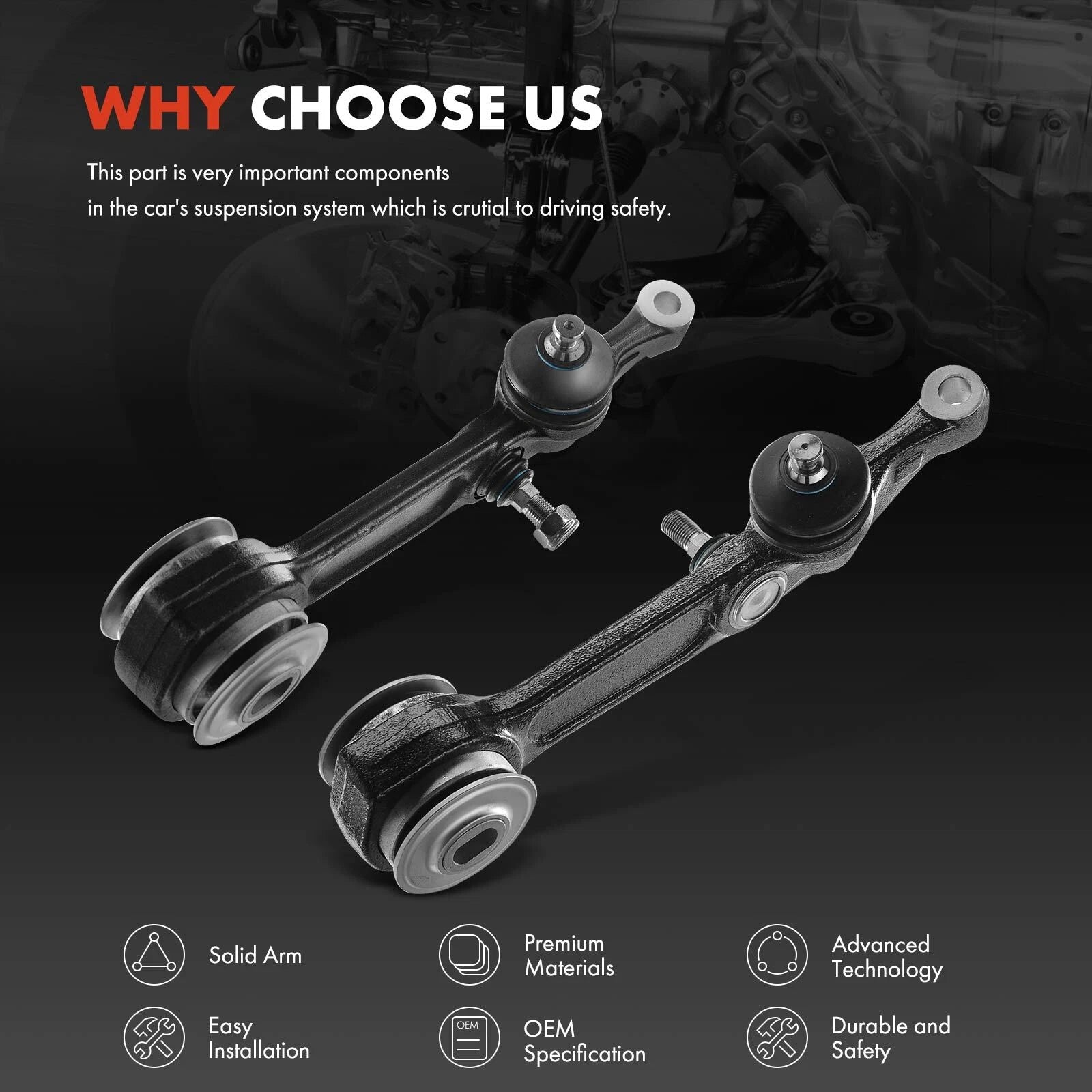 Tuggerah Lakes