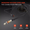 O2 Oxygen Sensor for Ford Focus LZ C-MAX II KUGA II DM2 2014-2020 1.5L EcoBoost