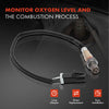 Oxygen Sensor for Ford Falcon Fairlane LTD Territory SX AU BA BF 4.0L 5.0L