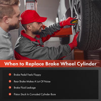 Tuggerah Lakes