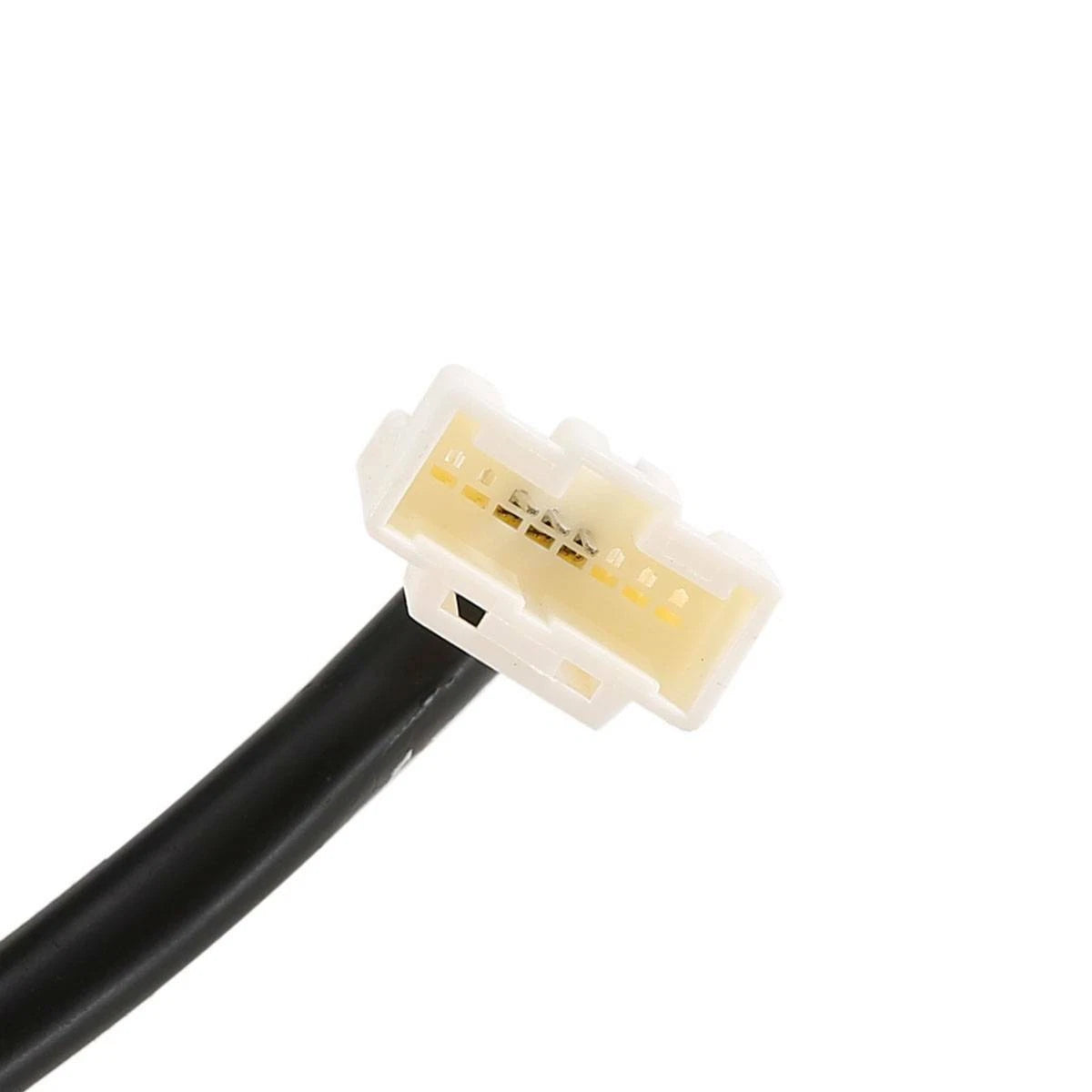 Tuggerah Lakes