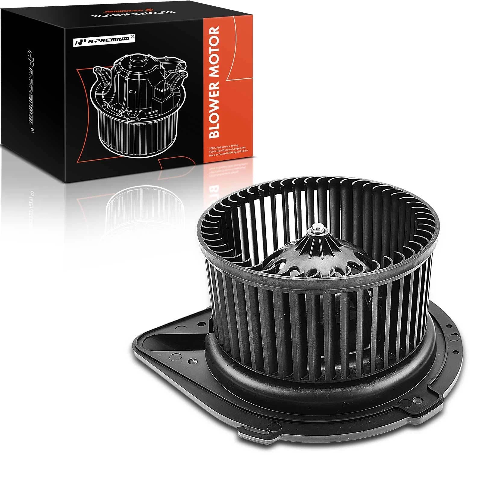Tuggerah Lakes