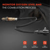 Oxygen Sensor for Holden Barina Frontera Jackaroo Rodeo TK TF 6VD1 6VE1 Pre-cat