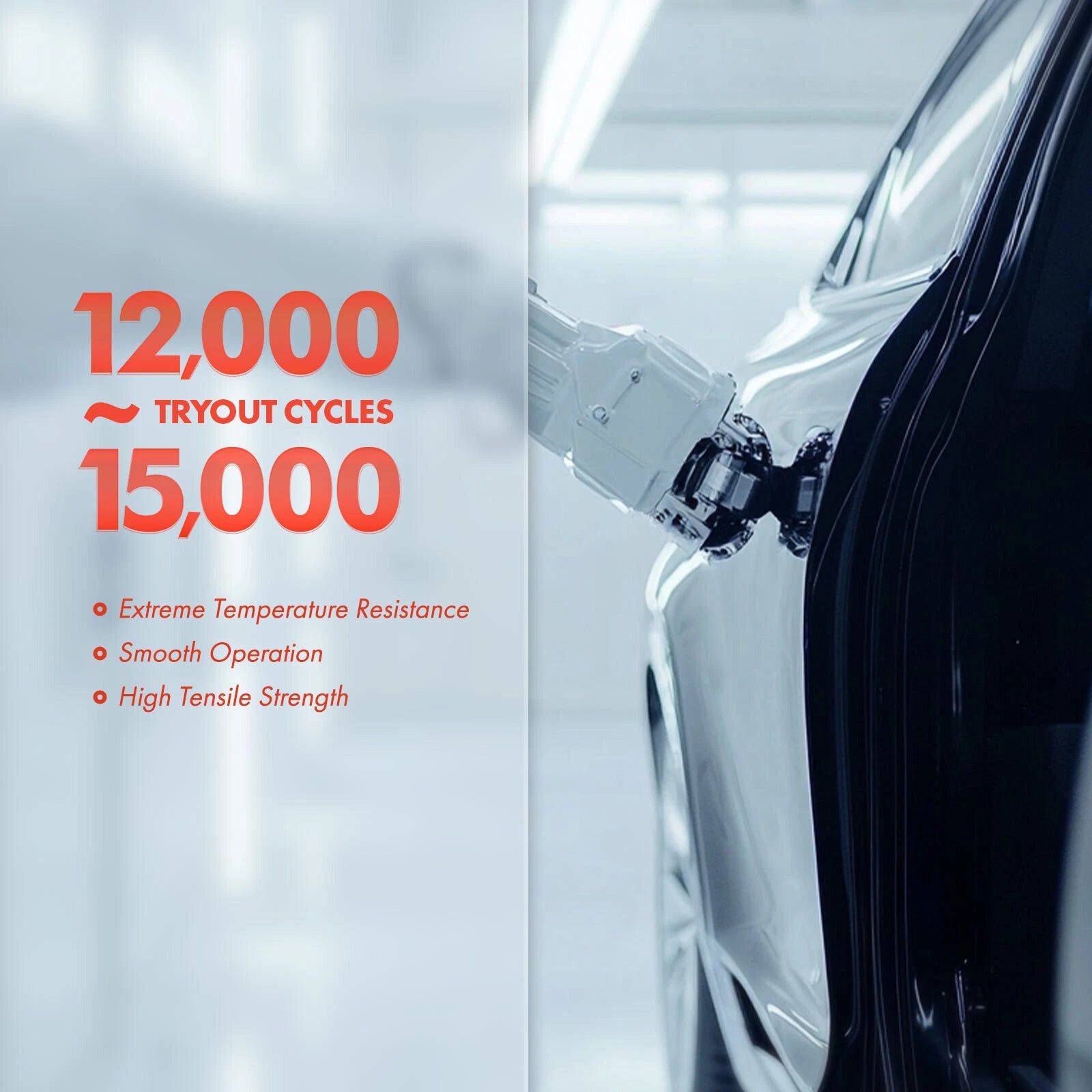 Tuggerah Lakes