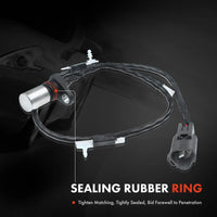Tuggerah Lakes
