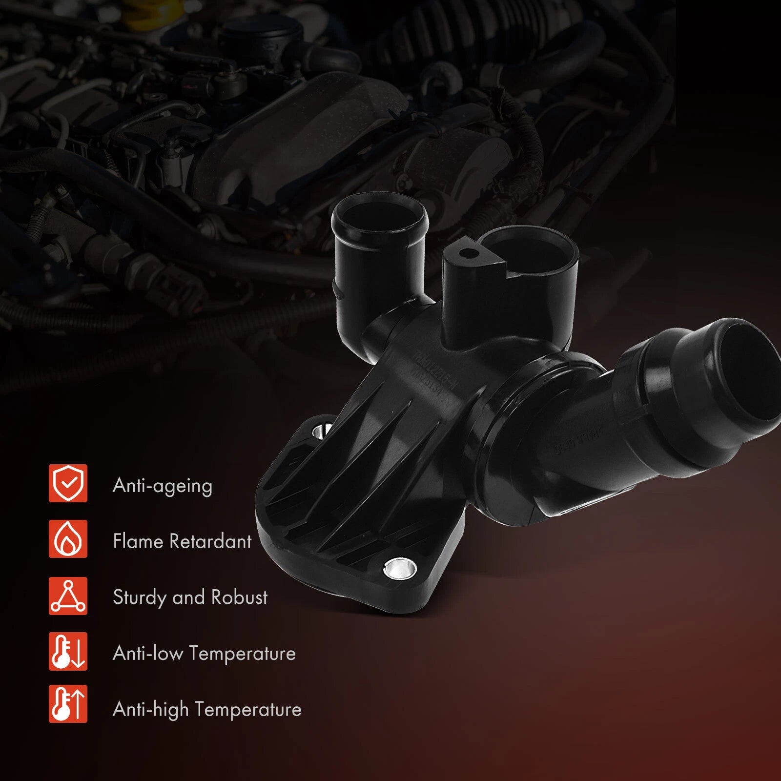 Tuggerah Lakes